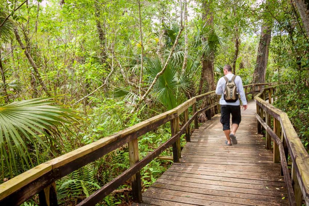 Big Cypress Bend Boardwalk