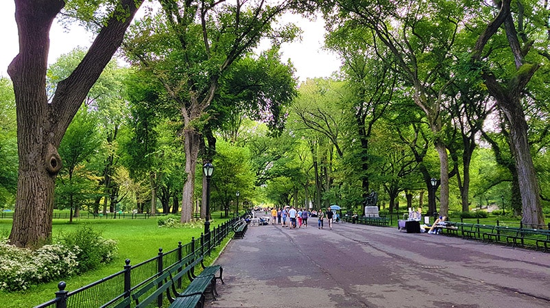 Central Park