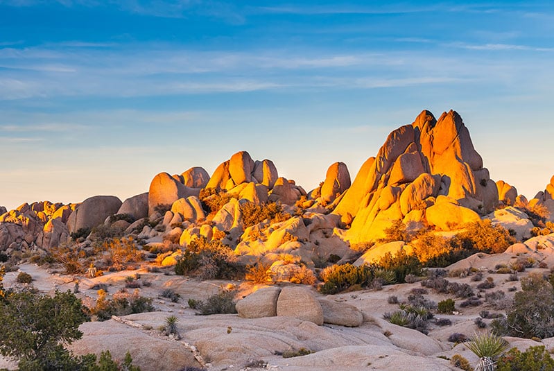 Národní park Joshua Tree