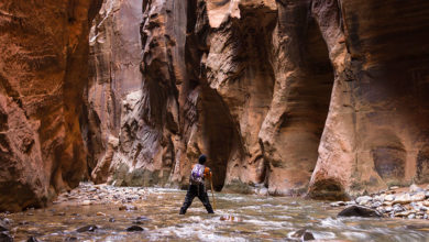 Zion Narrows